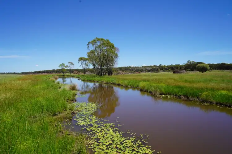 Sixth view of Homely rural property listing, 1081 Tareela Access Road, Mungallala QLD 4467