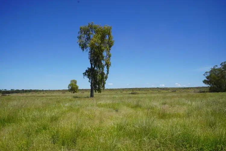 Seventh view of Homely rural property listing, 1081 Tareela Access Road, Mungallala QLD 4467