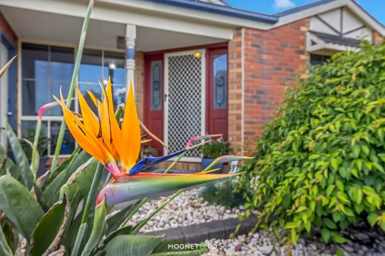 21 Hamilton Drive, Cranbourne North VIC 3977