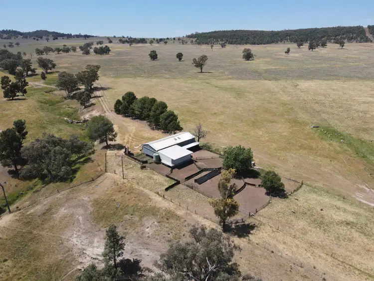"Babynda" 829 Eulimore Road, Eugowra NSW 2806