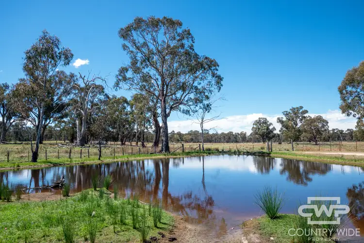 21 Torrington road, Torrington NSW 2371