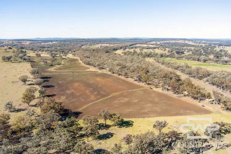 LOT 8, - Emmaville Road, Emmaville NSW 2371