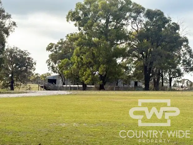 Third view of Homely rural property listing, LOT 1, - Emmaville Rd, Emmaville NSW 2371