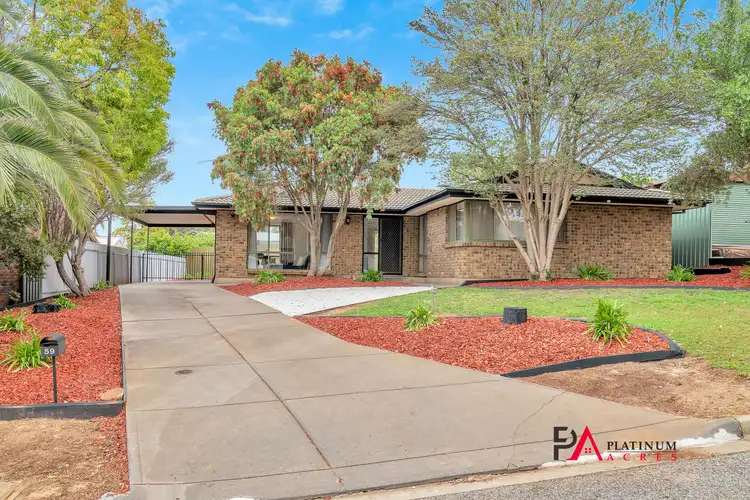 59 Noritake Road, Modbury Heights SA 5092