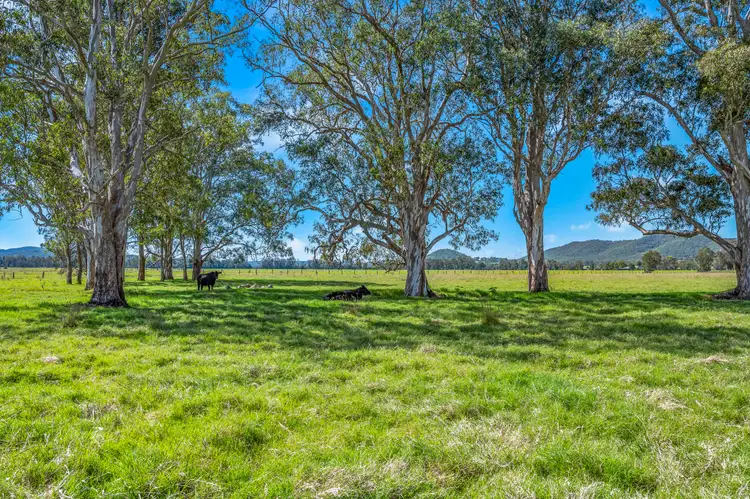 Fourth view of Homely rural property listing, Brandon View |1102 Seaham Road, Seaham NSW 2324