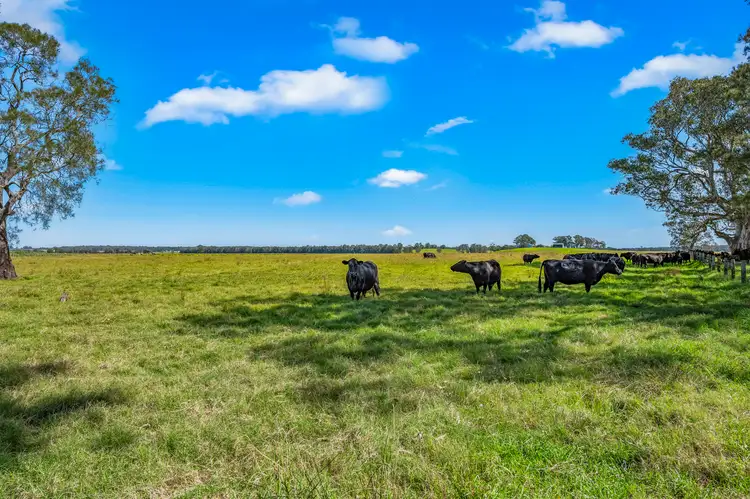 Sixth view of Homely rural property listing, Brandon View |1102 Seaham Road, Seaham NSW 2324