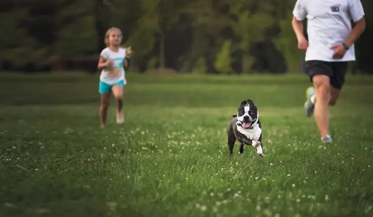 Seventh view of Homely house listing, 93 Storyteller Parkway, Gables NSW 2765