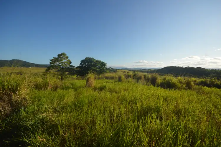 1212 Innisfail Japoon Road, Camp Creek QLD 4871