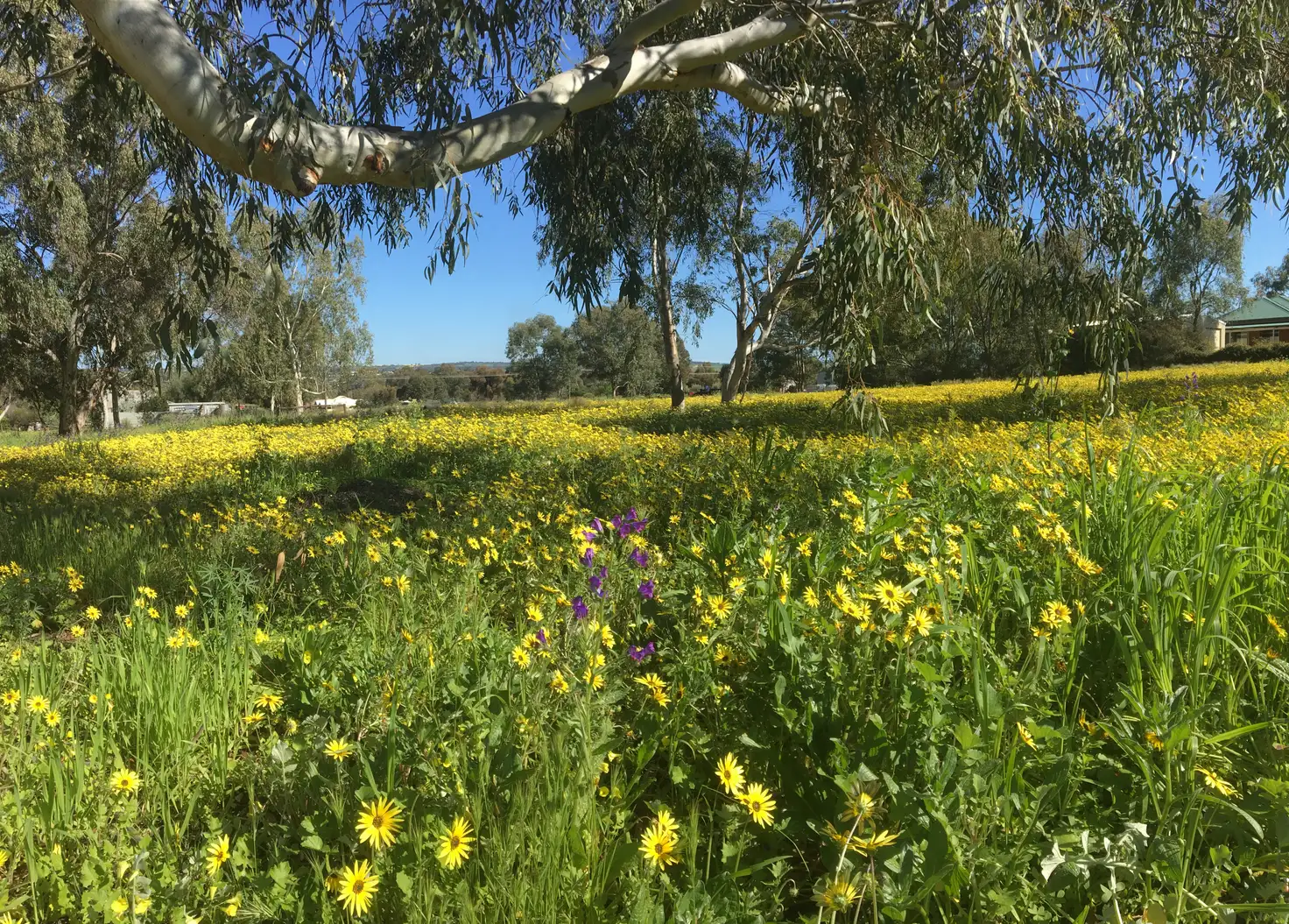 Main view of Homely land listing, LOT 25 Mount Street, York WA 6302