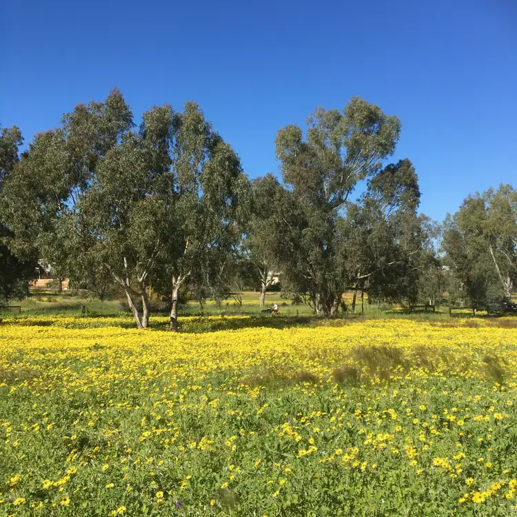 Second view of Homely land listing, LOT 25 Mount Street, York WA 6302