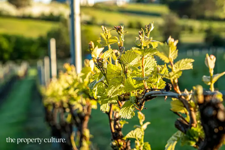 Main view of Homely land listing, 42 Voss Rd, Glaziers Bay TAS 7109