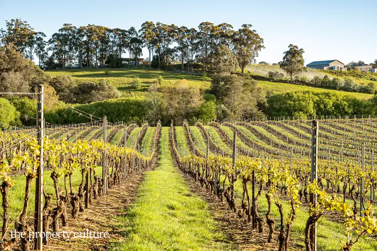 42 Voss Rd, Glaziers Bay TAS 7109