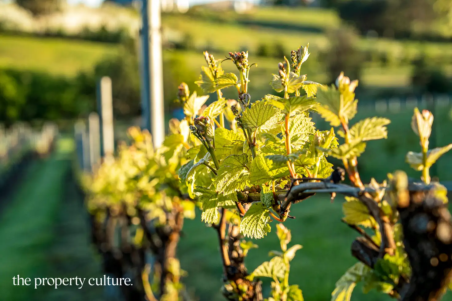 Main view of Homely land listing, 42 Voss Rd, Glaziers Bay TAS 7109