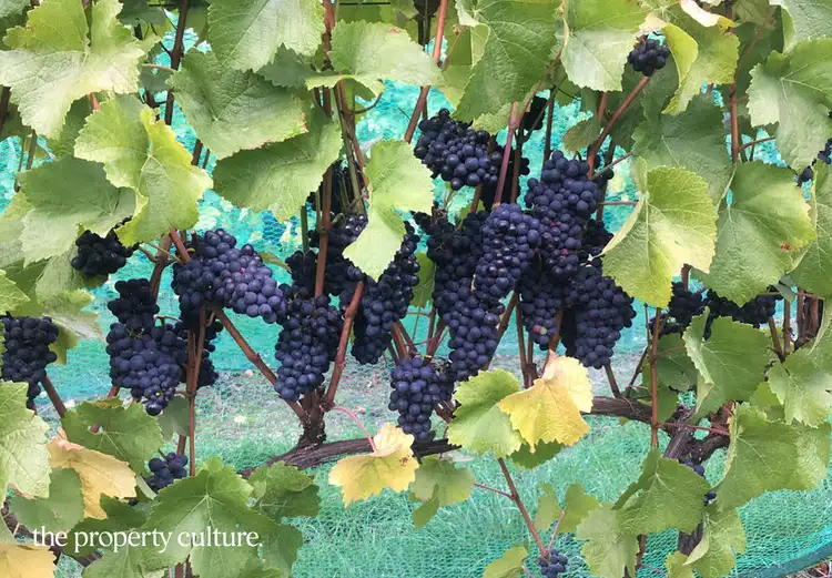 Sixth view of Homely land listing, 42 Voss Rd, Glaziers Bay TAS 7109