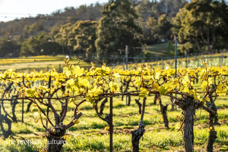 Seventh view of Homely land listing, 42 Voss Rd, Glaziers Bay TAS 7109