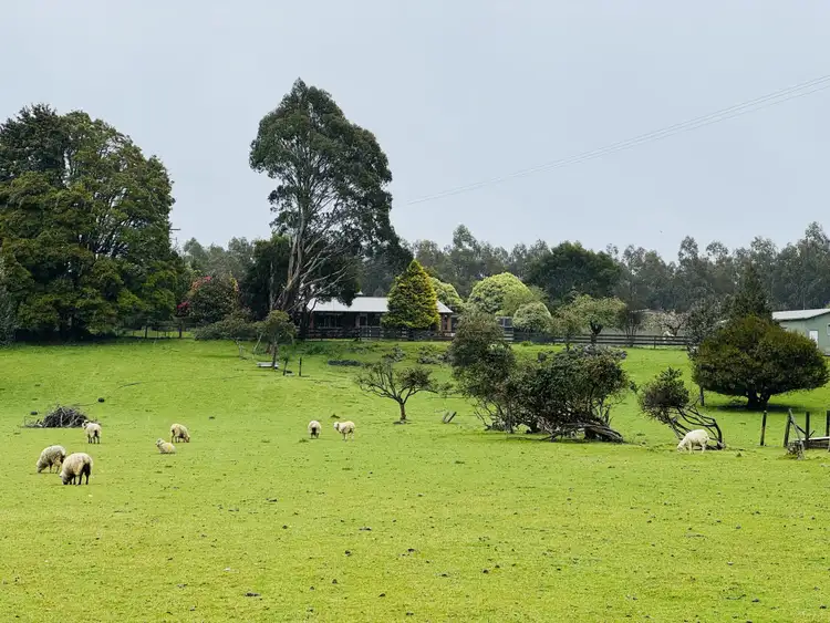 1160 Takone Road, West Takone TAS 7325