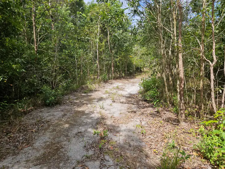 Fourth view of Homely land listing, 2401 Rossville Bloomfield Road, Bloomfield QLD 4895