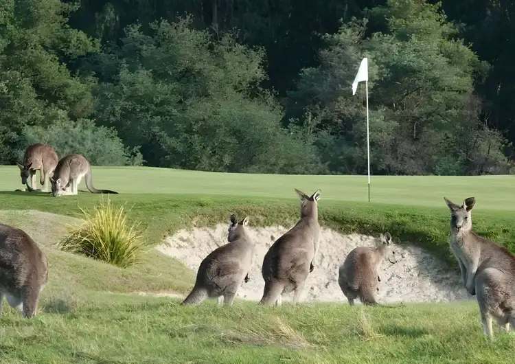 Seventh view of Homely land listing, 224 Routley Drive, Kooralbyn QLD 4285