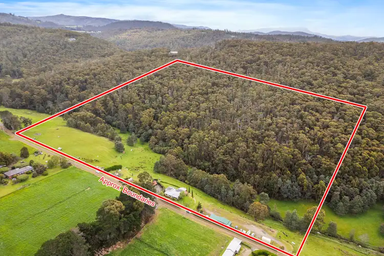 Fourth view of Homely house listing, 60 Clear Creek Road, Woodbridge TAS 7162