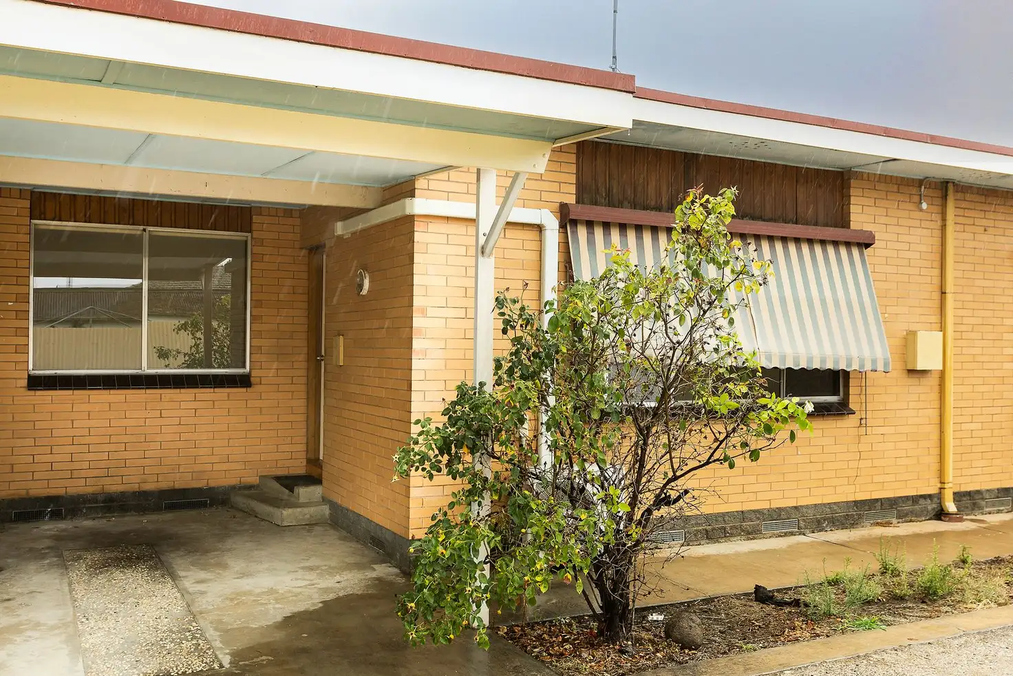 Main view of Homely unit listing, 3/825 Mate Street, North Albury NSW 2640
