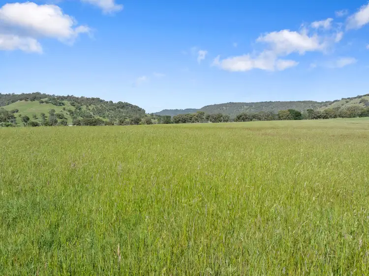Second view of Homely rural property listing, 1477 Mansfield-Whitfield Road, Bridge Creek VIC 3723