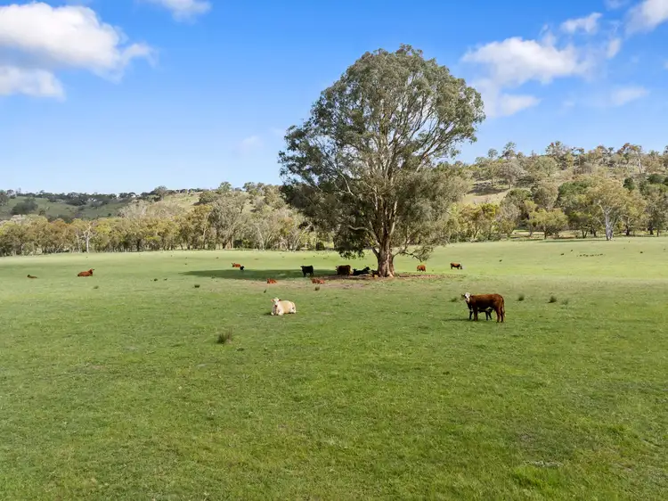 Fourth view of Homely rural property listing, 1477 Mansfield-Whitfield Road, Bridge Creek VIC 3723