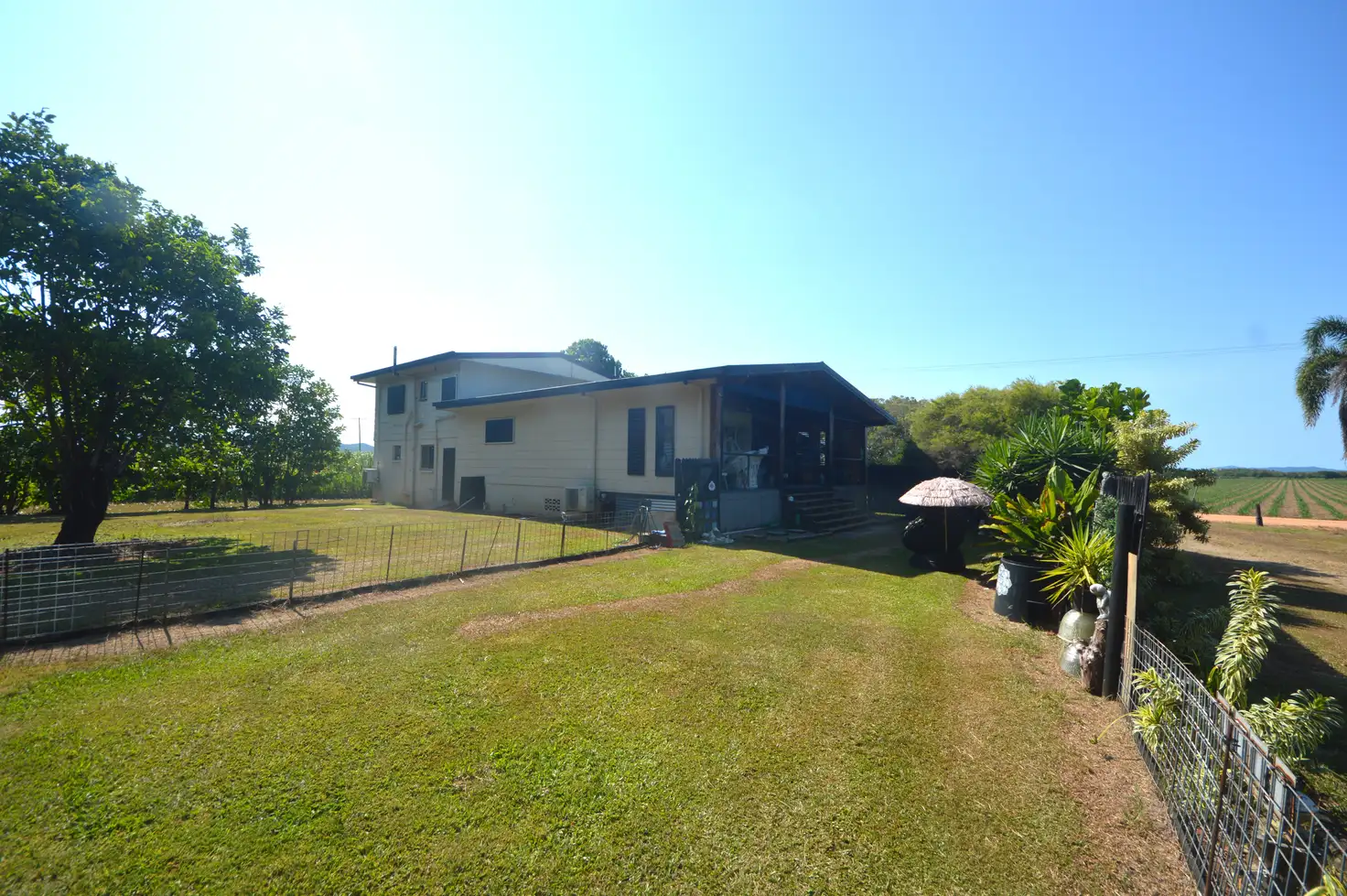 Main view of Homely rural property listing, 164 Gangemi Road, Lower Cowley QLD 4871