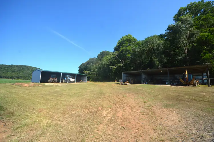 Second view of Homely rural property listing, 164 Gangemi Road, Lower Cowley QLD 4871