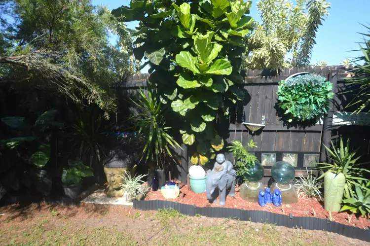 Sixth view of Homely rural property listing, 164 Gangemi Road, Lower Cowley QLD 4871