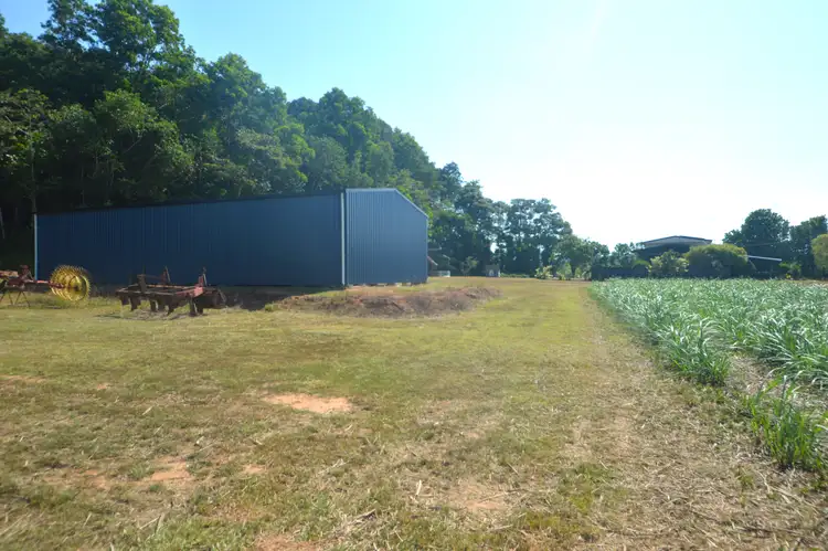 Seventh view of Homely rural property listing, 164 Gangemi Road, Lower Cowley QLD 4871