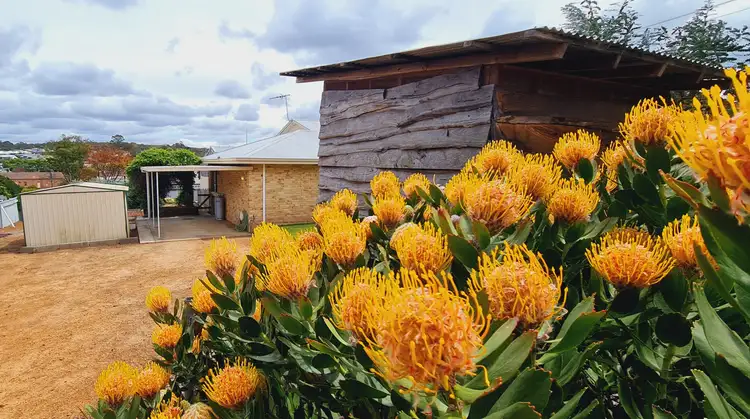 Second view of Homely house listing, 4 Ormond Road, Mount Barker WA 6324