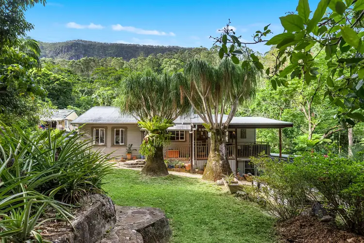 807 Left Bank Road, Mullumbimby Creek NSW 2482