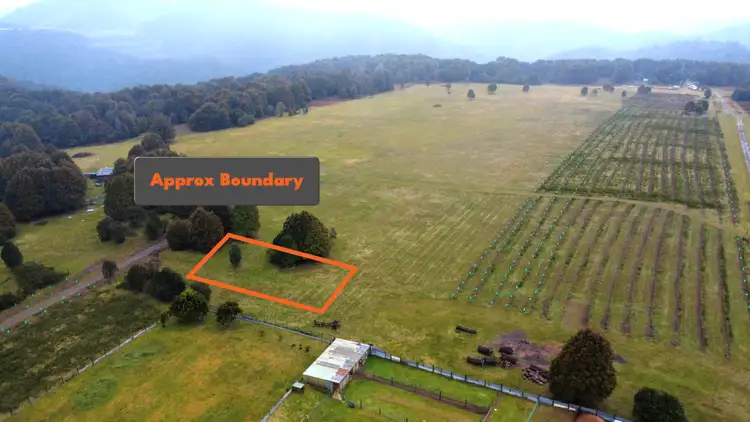 LOT PID - 6997235 Camp Road, Waratah TAS 7321