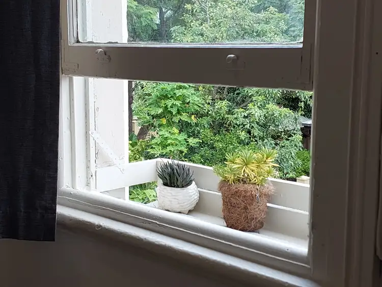 Fifth view of Homely studio listing, 7a/13 Palace Street, Petersham NSW 2049