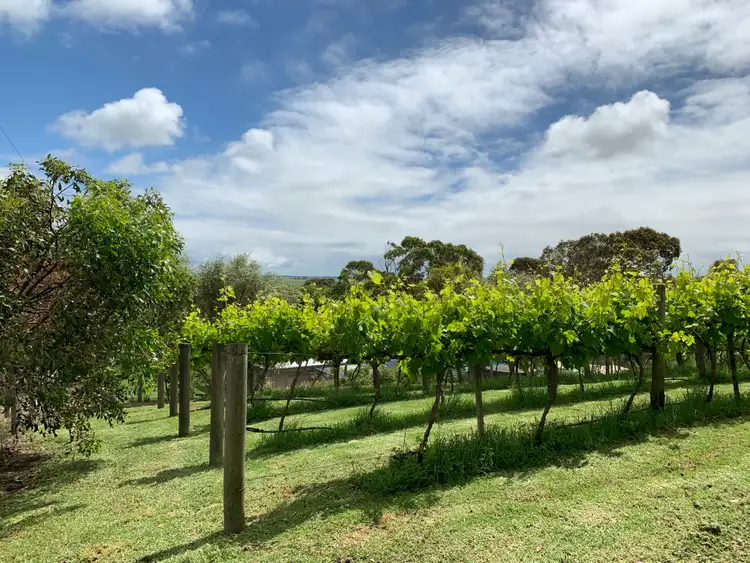 Third view of Homely land listing, 4 Schinckel Street, Rendelsham SA 5280