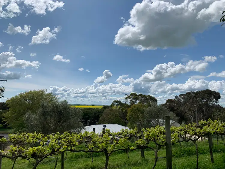 Sixth view of Homely land listing, 4 Schinckel Street, Rendelsham SA 5280