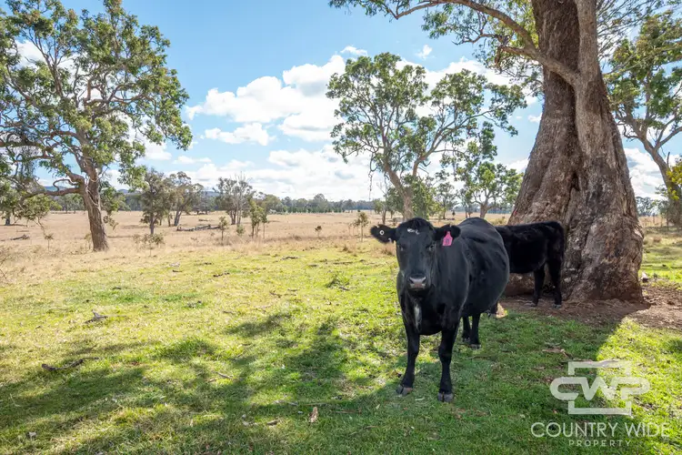 Seventh view of Homely rural property listing, 1308D Torrington Road, Stannum NSW 2371
