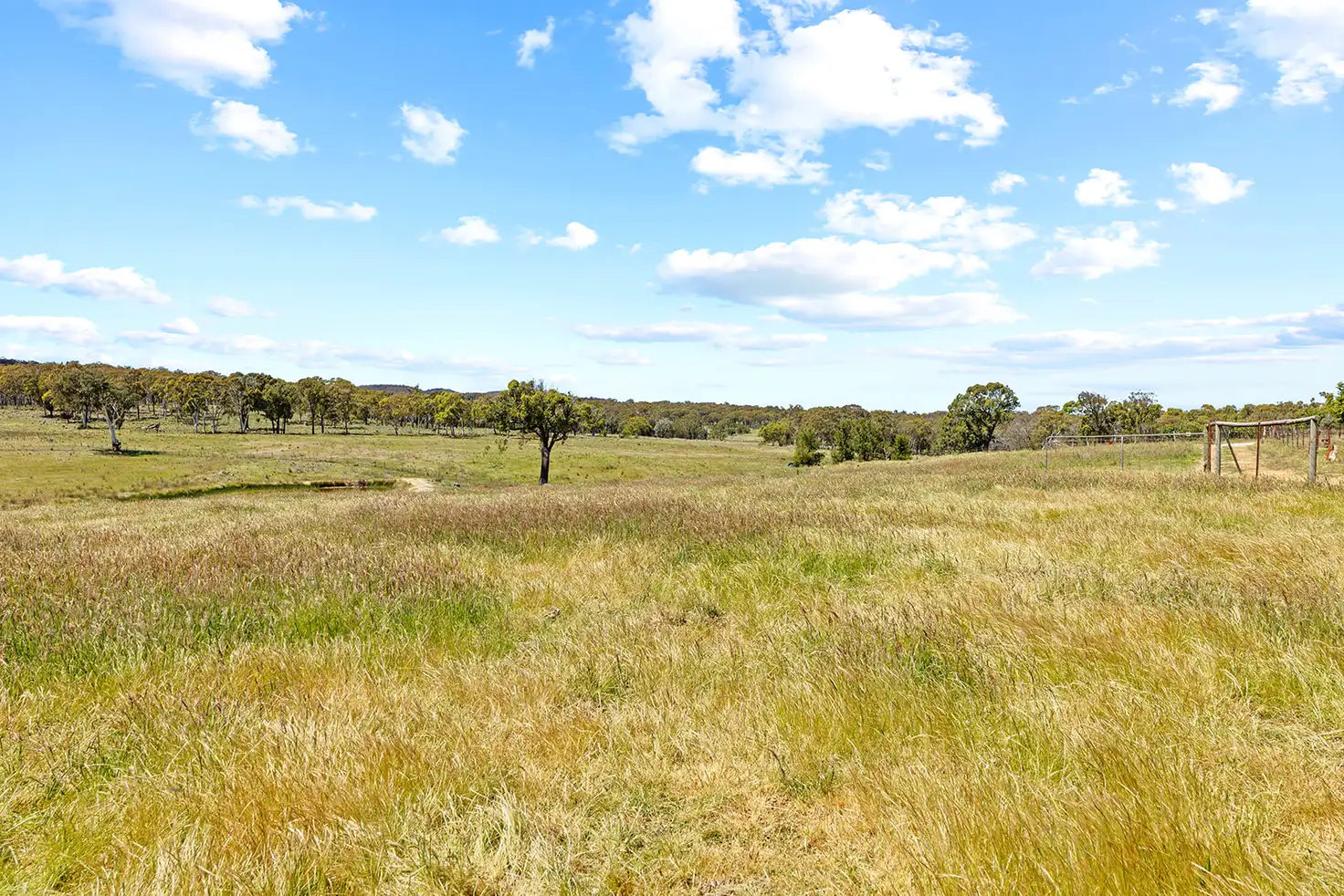Main view of Homely rural property listing, 5716 Gundaroo Road, Bellmount Forest NSW 2581