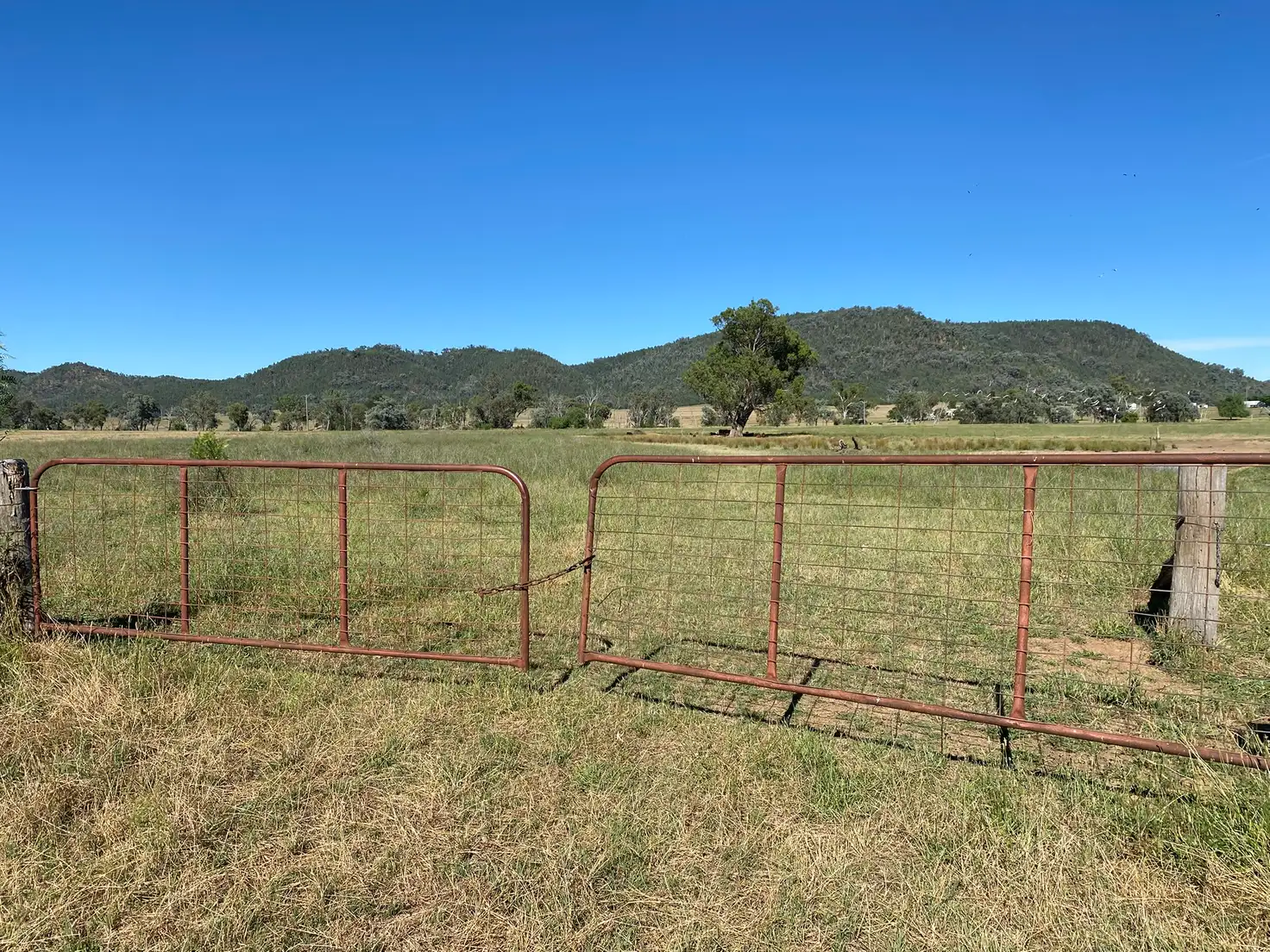 Main view of Homely rural property listing, 'Westdale' Lindesay Street, Upper Horton NSW 2347