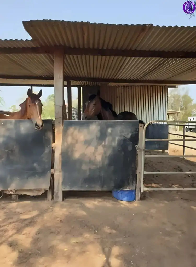 Seventh view of Homely house listing, 23A Videroni Street, Bundamba QLD 4304