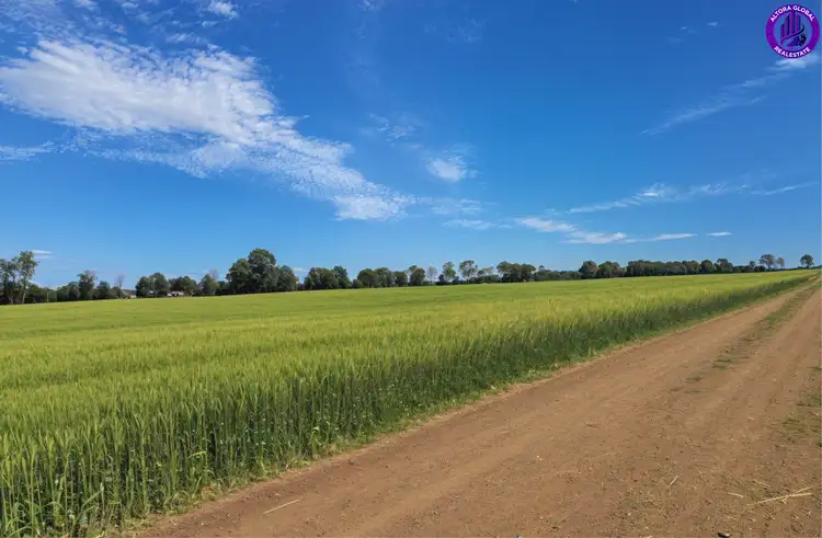 Fourth view of Homely house listing, 149 Airport Road, Monto QLD 4630