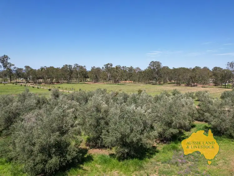 Fifth view of Homely rural property listing, 512 Bicks Road, Cloyna QLD 4605