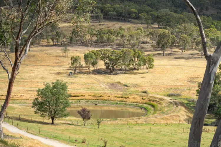 Fourth view of Homely rural property listing, "Mornington Heights" 634 Splitters Creek Road, Splitters Creek NSW 2640