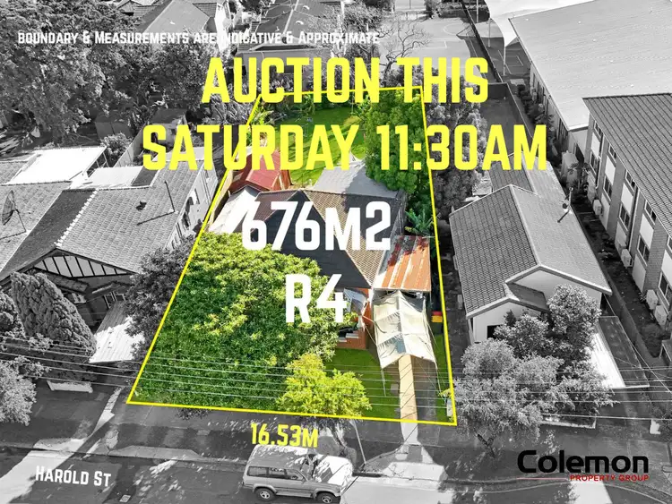 8 Harold St, Campsie NSW 2194