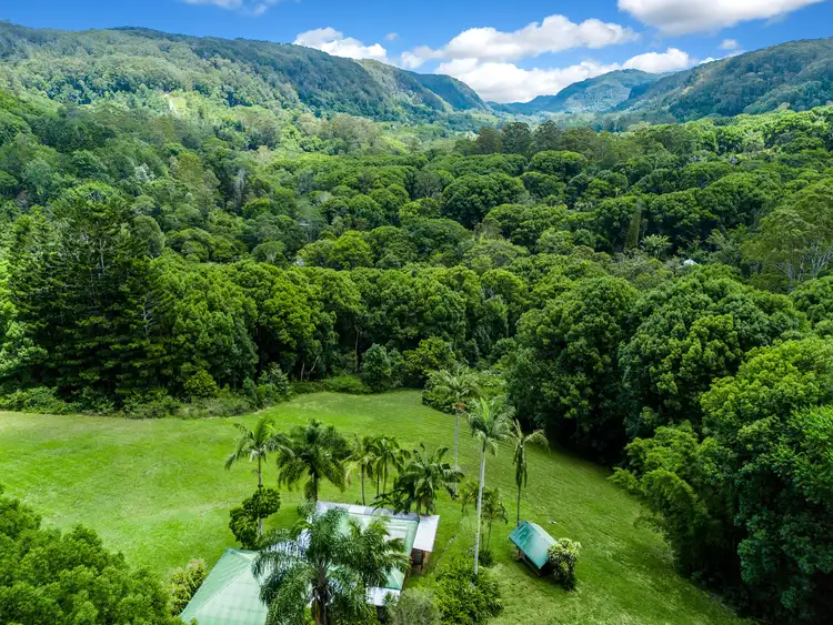 Third view of Homely rural property listing, 20 Lilly Pilly Road, Wilsons Creek NSW 2482