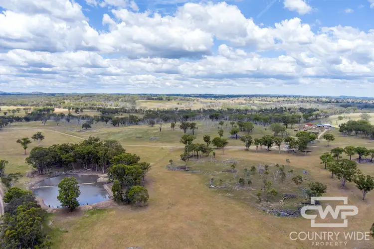 Second view of Homely rural property listing, 149 Schroders Road, Emmaville NSW 2371