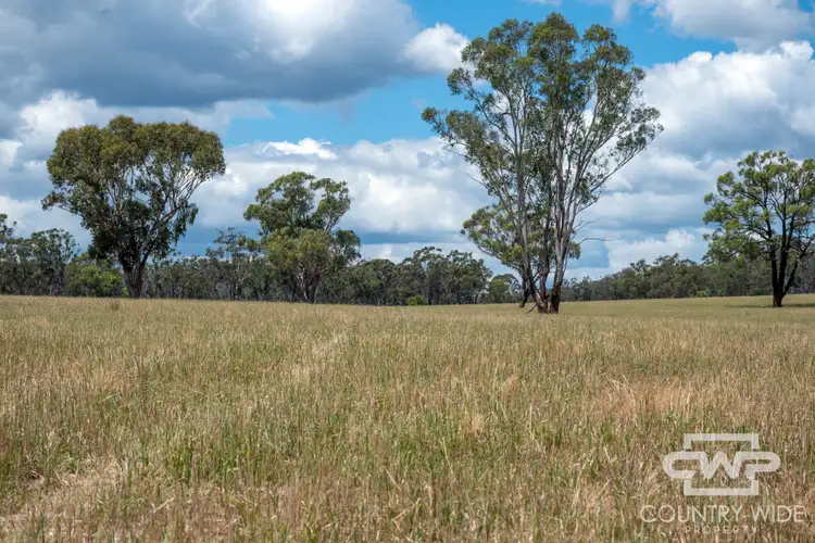 Third view of Homely rural property listing, 149 Schroders Road, Emmaville NSW 2371