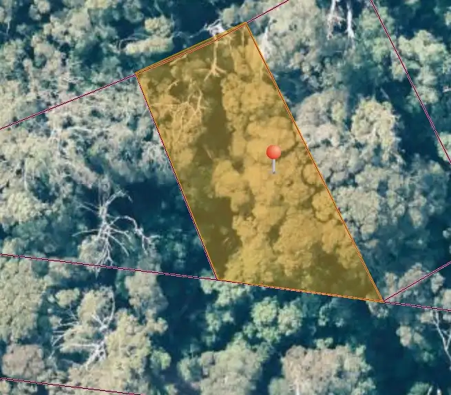 LOT lot 1 1824490 Edward Street West Coast [Balfour], Temma TAS 7330