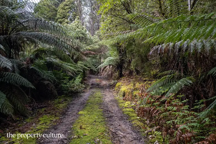 Second view of Homely land listing, LOT 1, 2 & 3 Bakers Creek Rd, Lucaston TAS 7109
