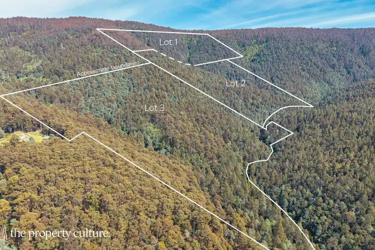 Fourth view of Homely land listing, LOT 1, 2 & 3 Bakers Creek Rd, Lucaston TAS 7109